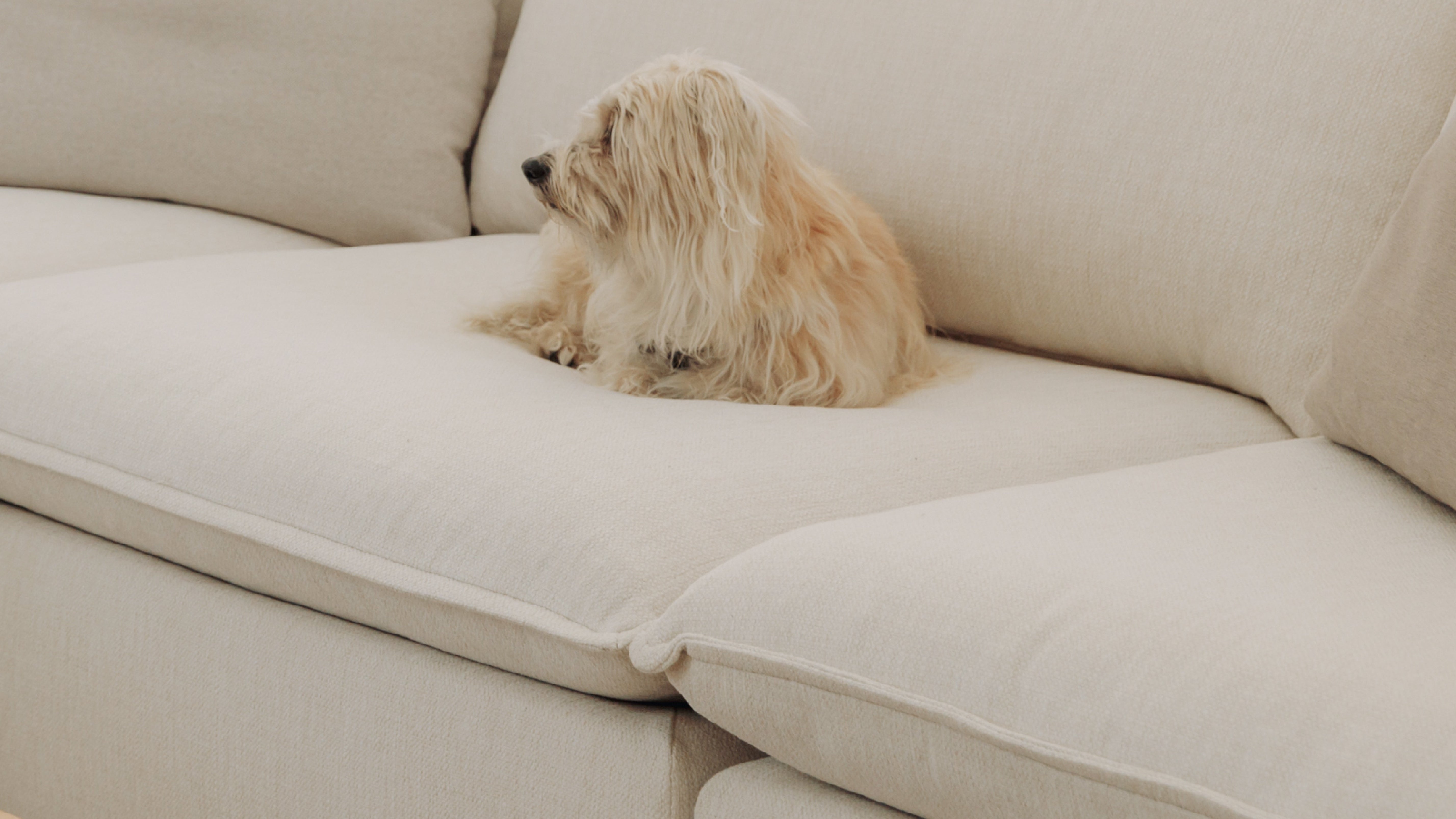 2-Piece Modular Sofa, Birch Fabric